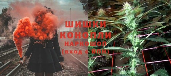 a pvp Новозыбков