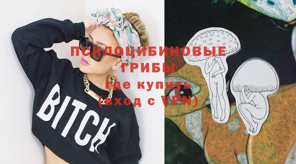 сатива Вязники