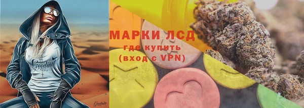 a pvp Новозыбков
