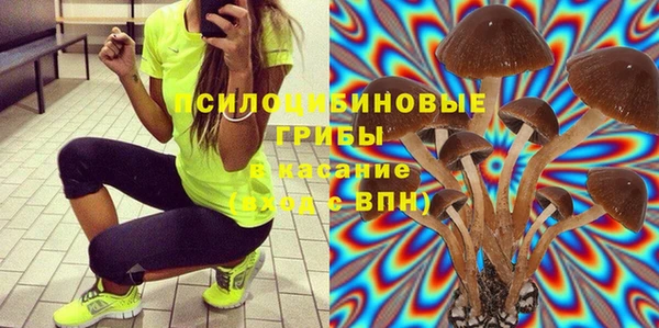 сатива Вязники